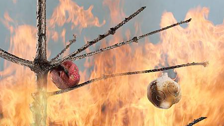 Rockefeller Christmas Tree Burned As Offering To Snow&nbsp;Gods